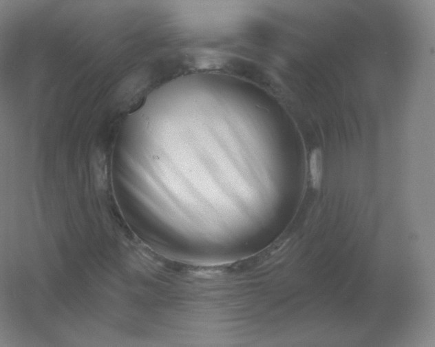 X0000054361443200508121501