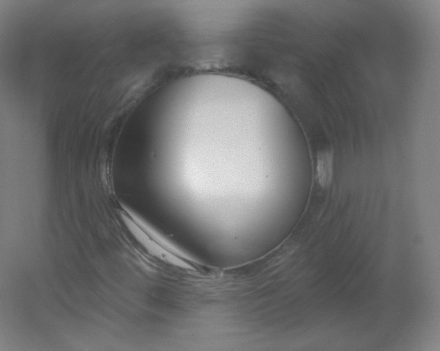 X0000054361444200508121501