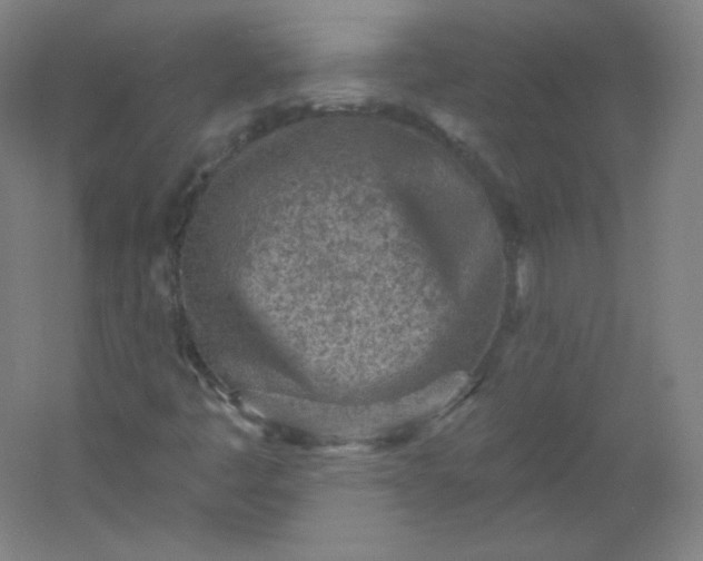 X0000054361445200508121501