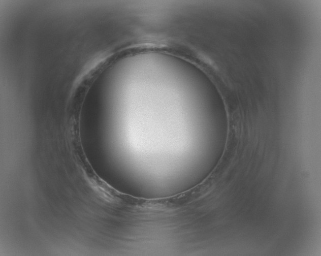 X0000054361448200508121501