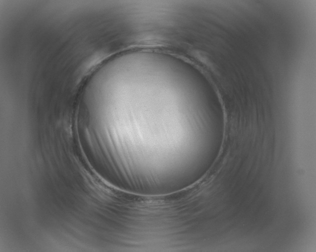 X0000054361451200508121501