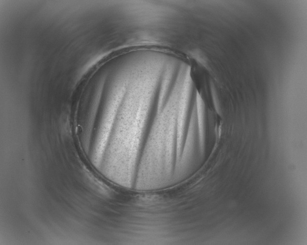 X0000054361452200508121501