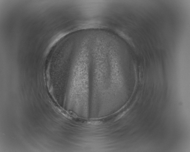 X0000054361453200508121501