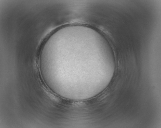 X0000054361454200508121501
