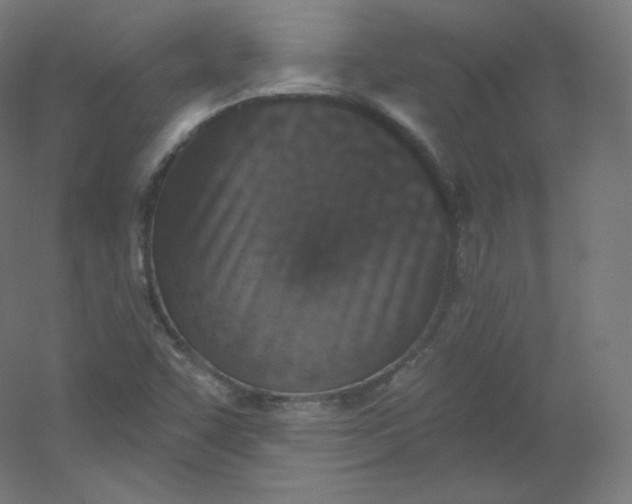 X0000054361455200508121501