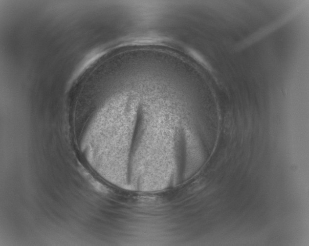X0000054361456200508121501