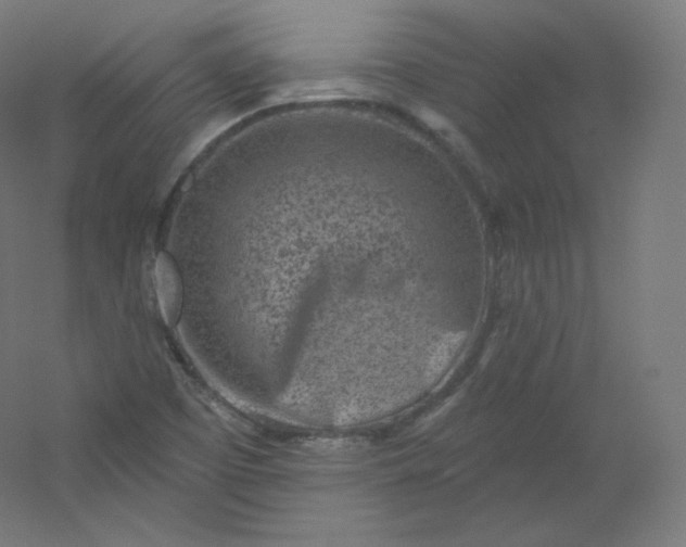 X0000054361457200508121501