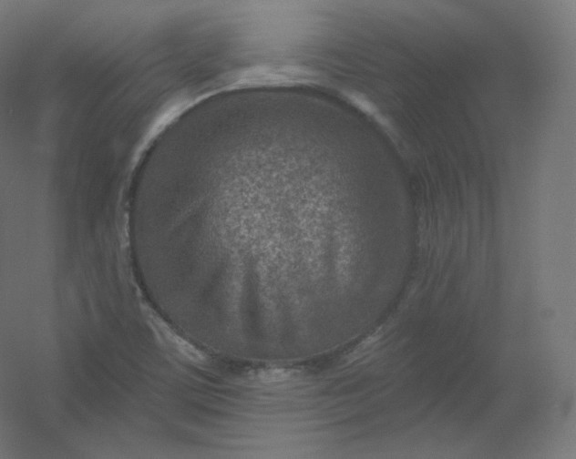 X0000054361459200508121501