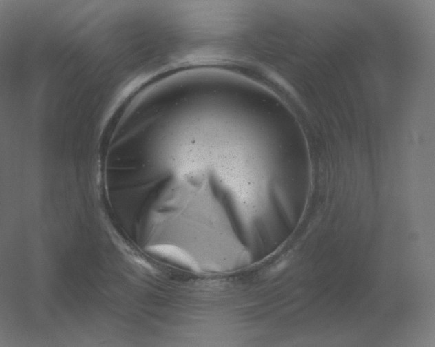 X0000054361461200508121501