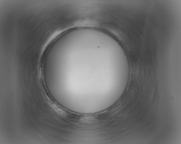 X0000054361462200508121501
