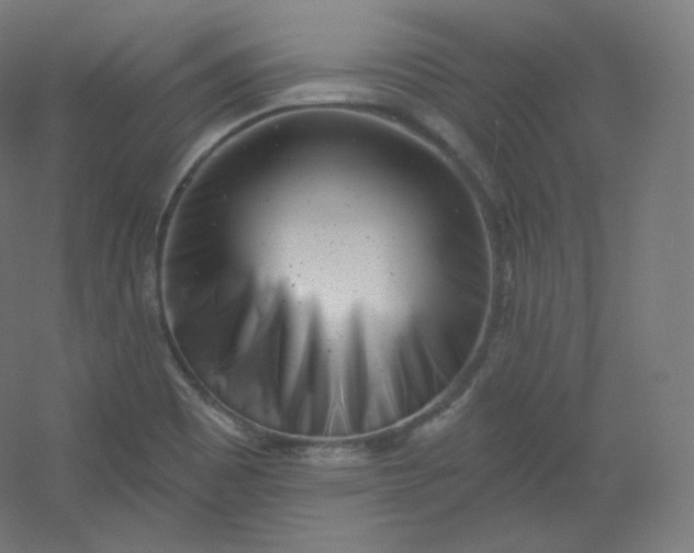 X0000054361465200508121501