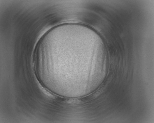 X0000054361466200508121501