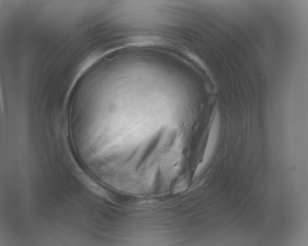 X0000054361467200508121501