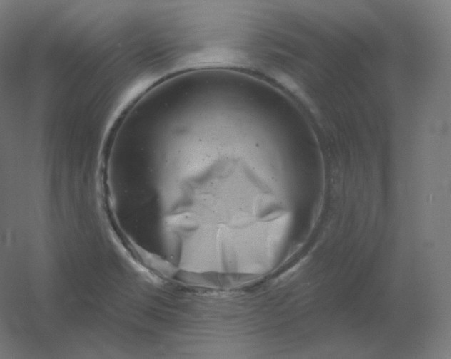 X0000054361469200508121501