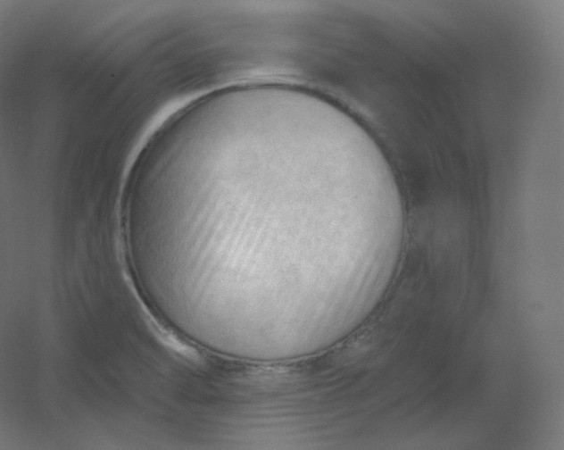 X0000054361470200508121501