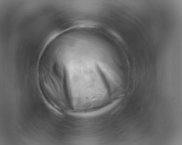 X0000054361471200508121501