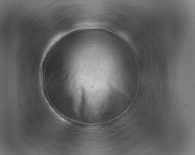 X0000054361472200508121501