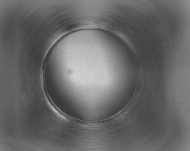 X0000054361476200508121501