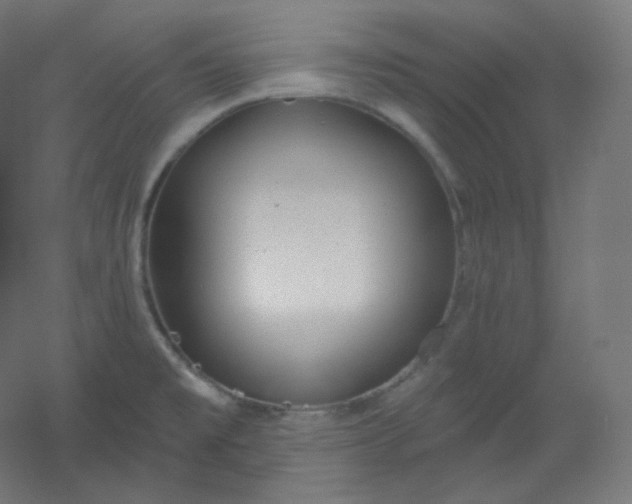 X0000054361477200508121501