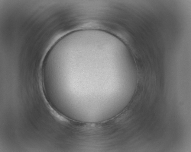 X0000054361478200508121501