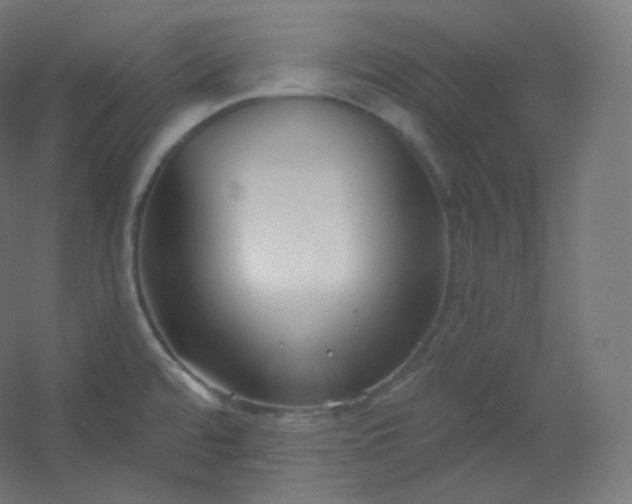 X0000054361480200508121501