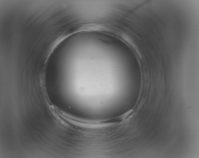 X0000054361481200508121501