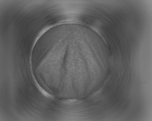 X0000054361482200508121501