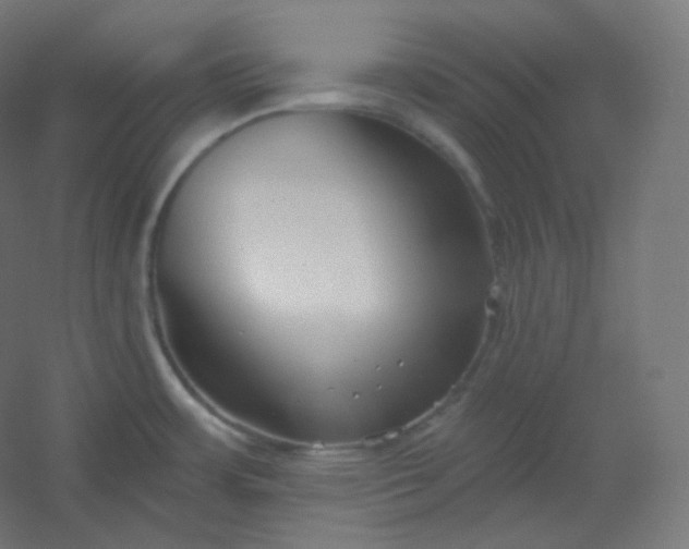 X0000054361483200508121501