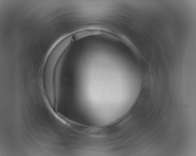 X0000054361484200508121501
