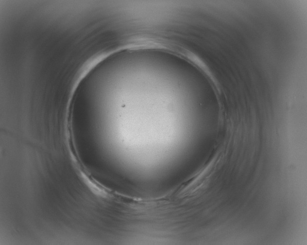X0000054361485200508121501