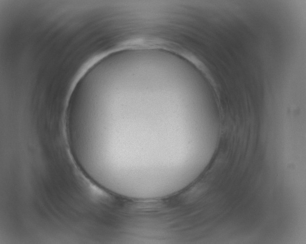 X0000054361486200508121501