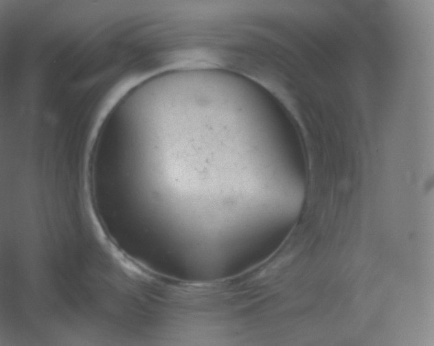 X0000054361488200508121501