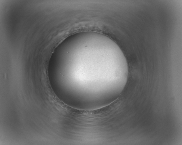 X0000054361489200508121500