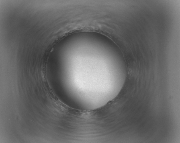 X0000054361490200508121500