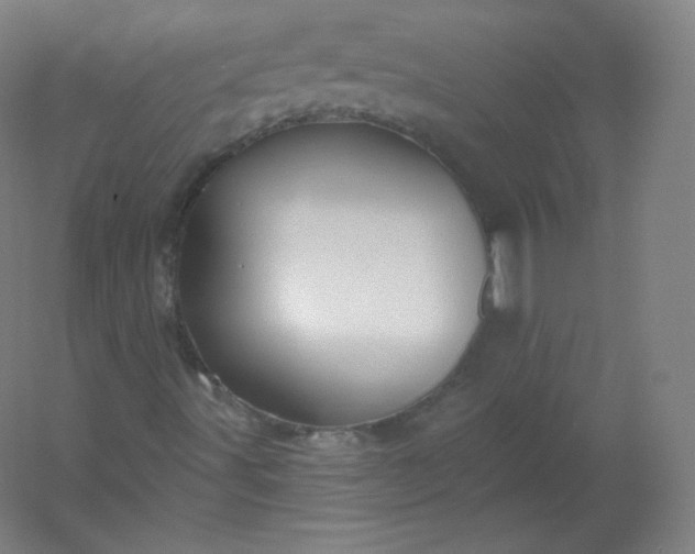 X0000054361491200508121500