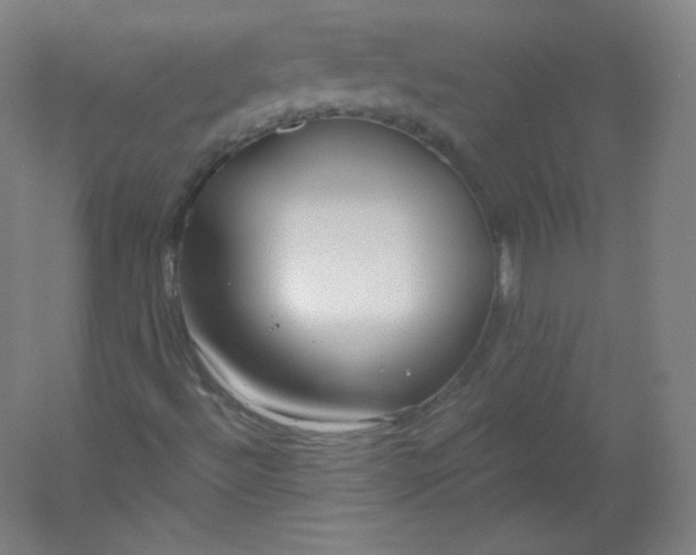 X0000054361492200508121500