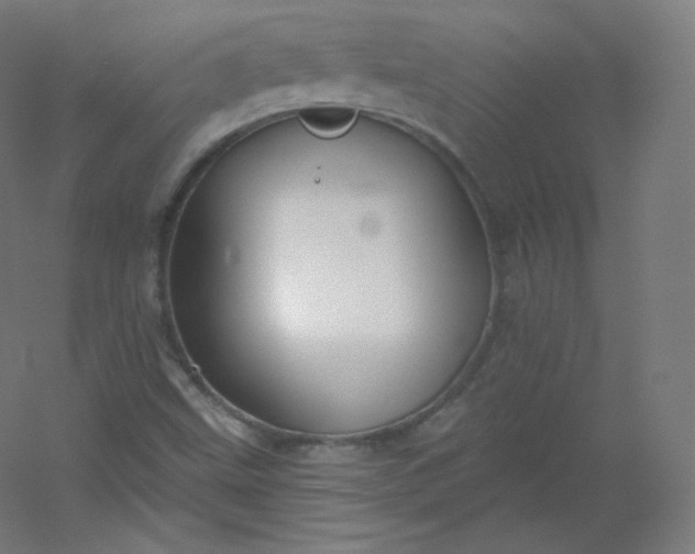 X0000054361499200508121500