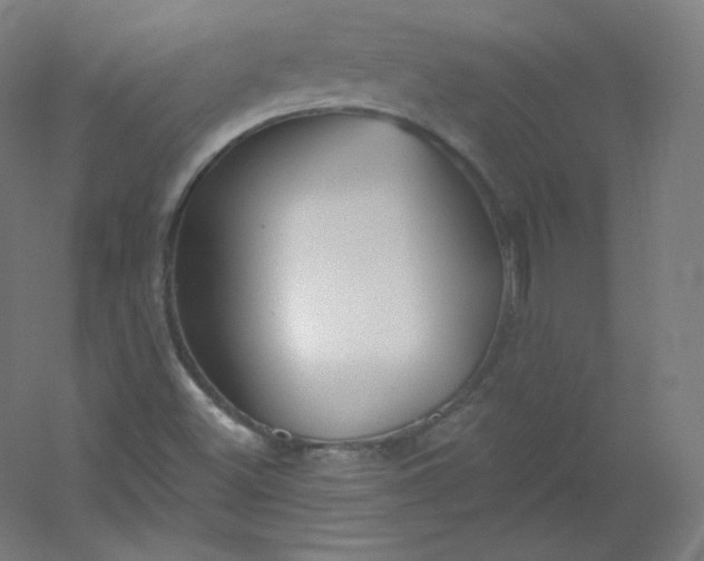 X0000054361500200508121500