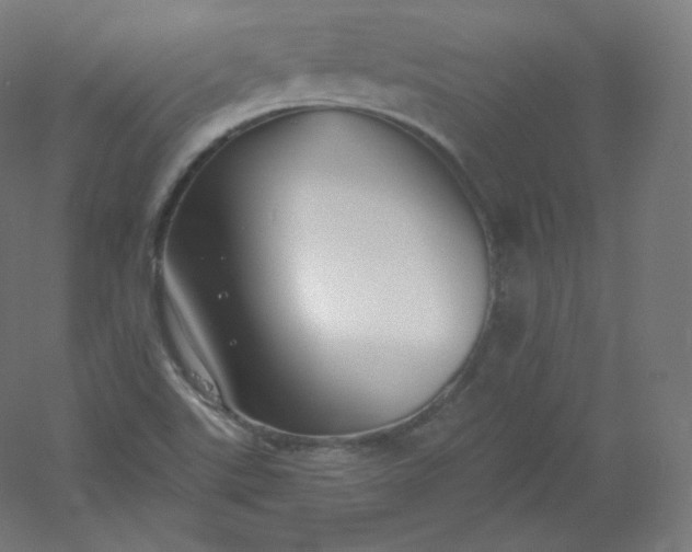 X0000054361507200508121500