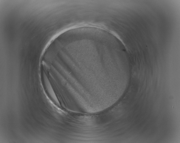X0000054361508200508121500