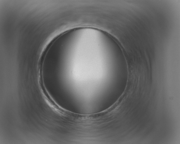 X0000054361511200508121500