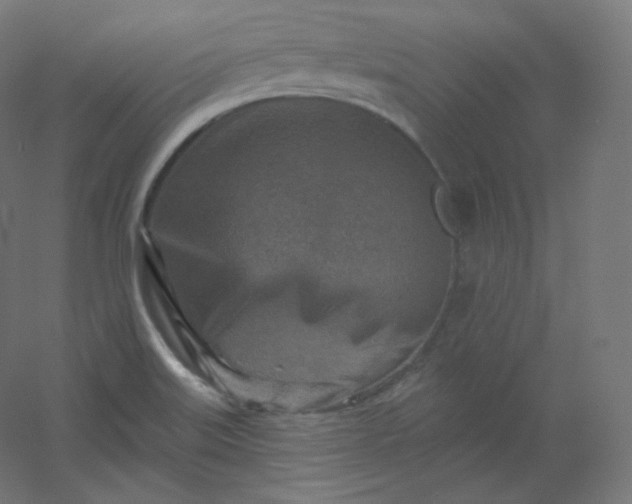 X0000054361515200508121500