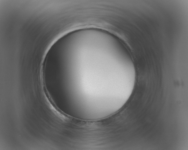 X0000054361516200508121500