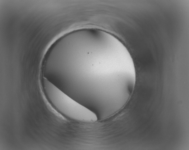 X0000054361518200508121500