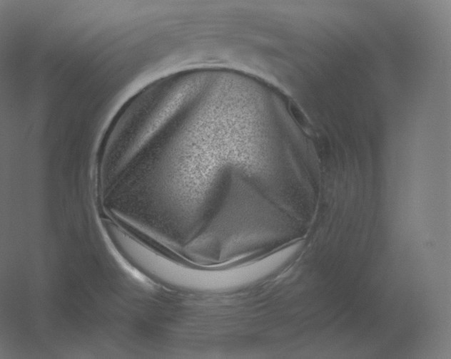 X0000054361519200508121500