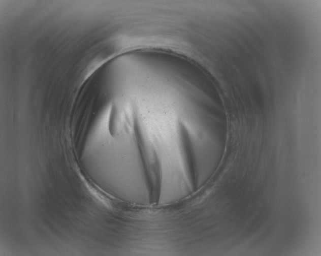 X0000054361521200508121500