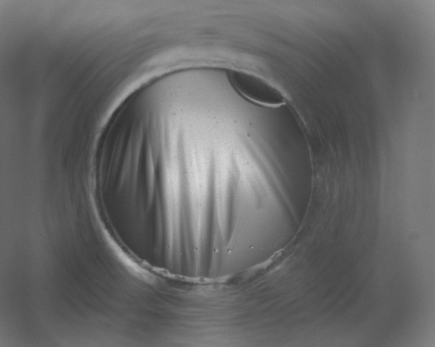 X0000054361523200508121500