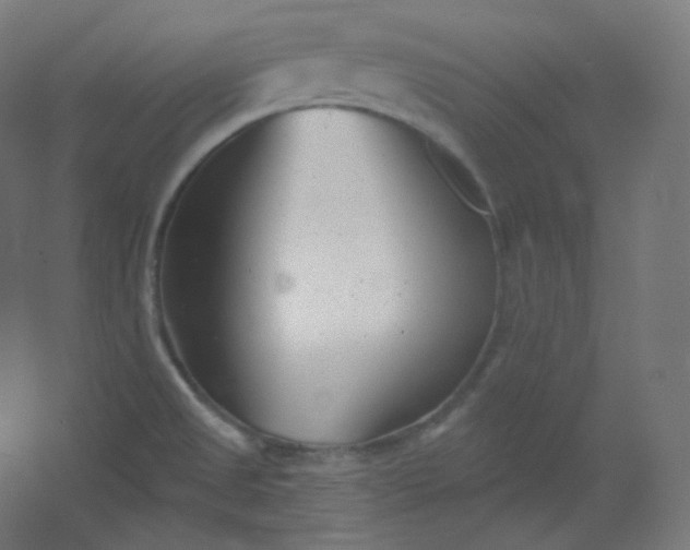 X0000054361525200508121501