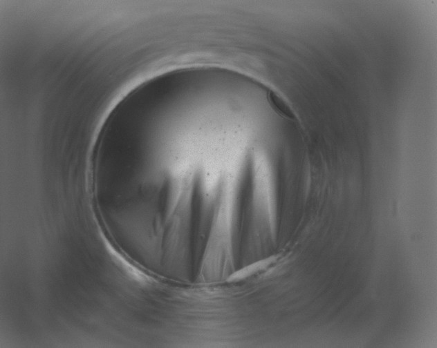 X0000054361527200508121501