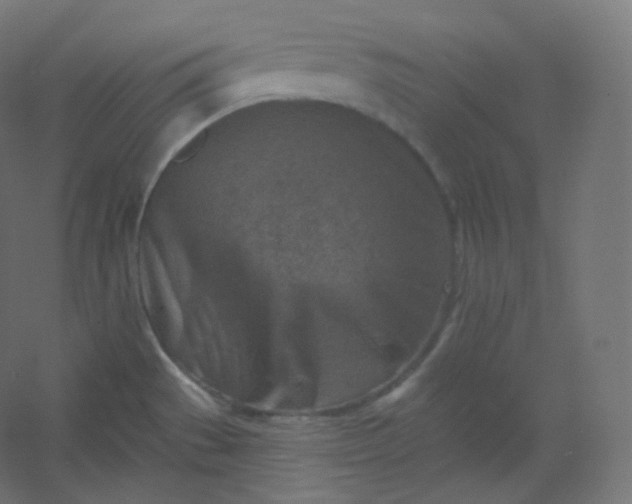 X0000054361529200508121501